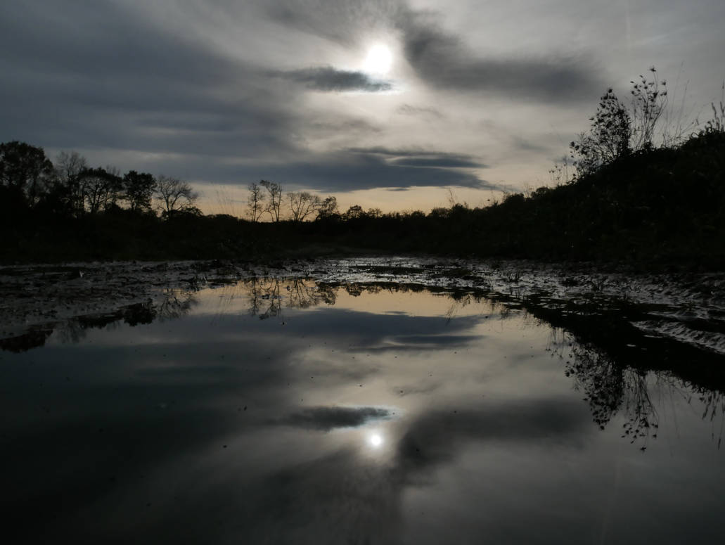 Beauty in a puddle by Triplechoc on DeviantArt