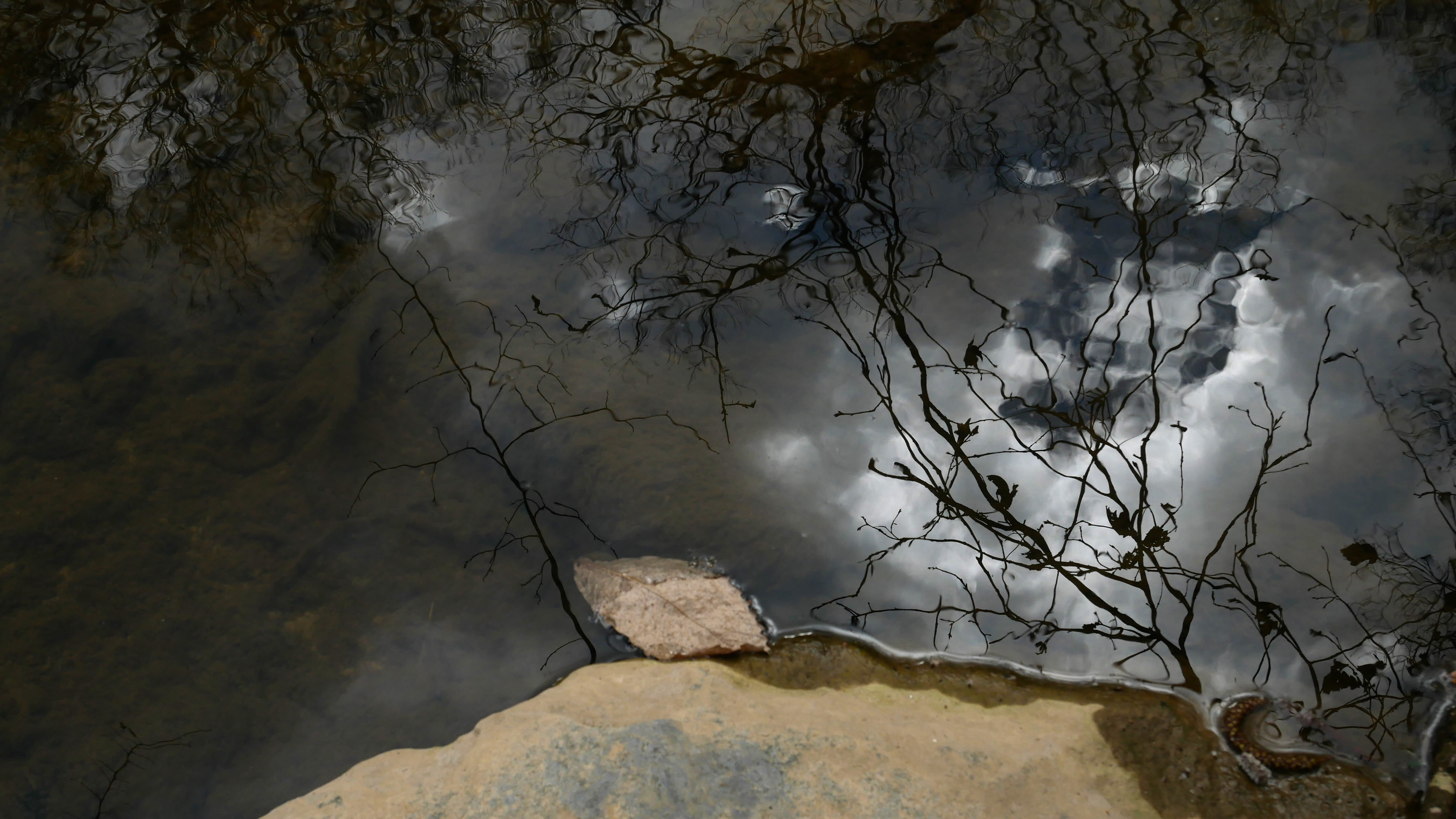 Peinture sur eau