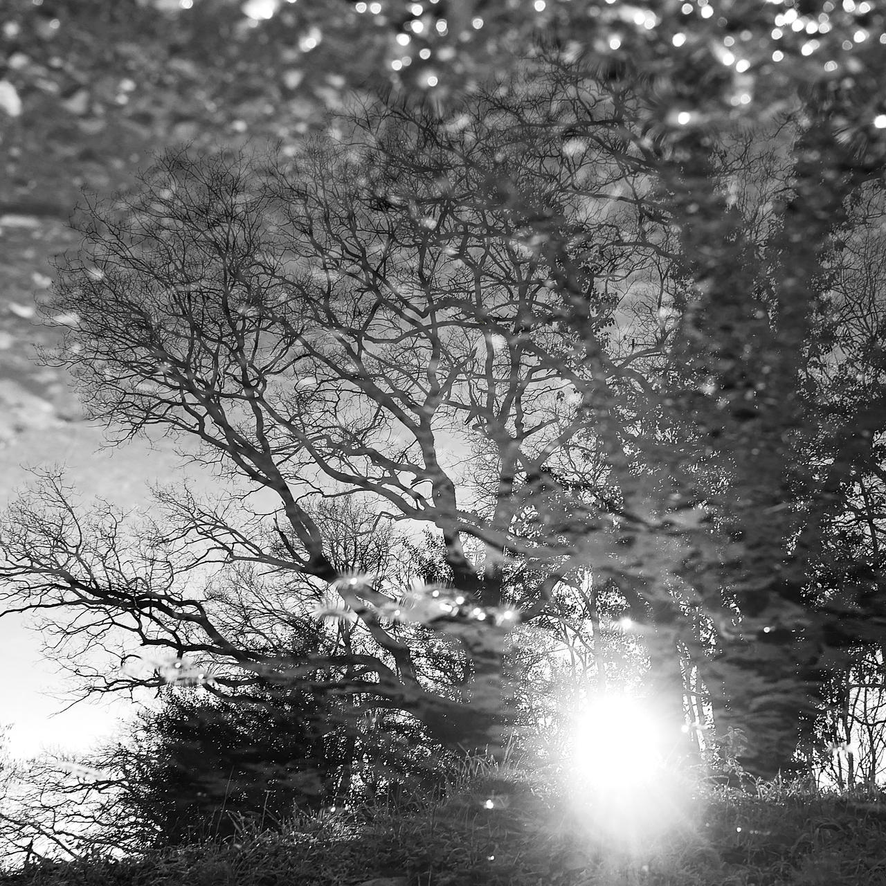 Sun Back 20260221 - Sun is back by Triplechoc on DeviantArt