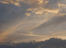20260713 - I have a dream... I can fly...