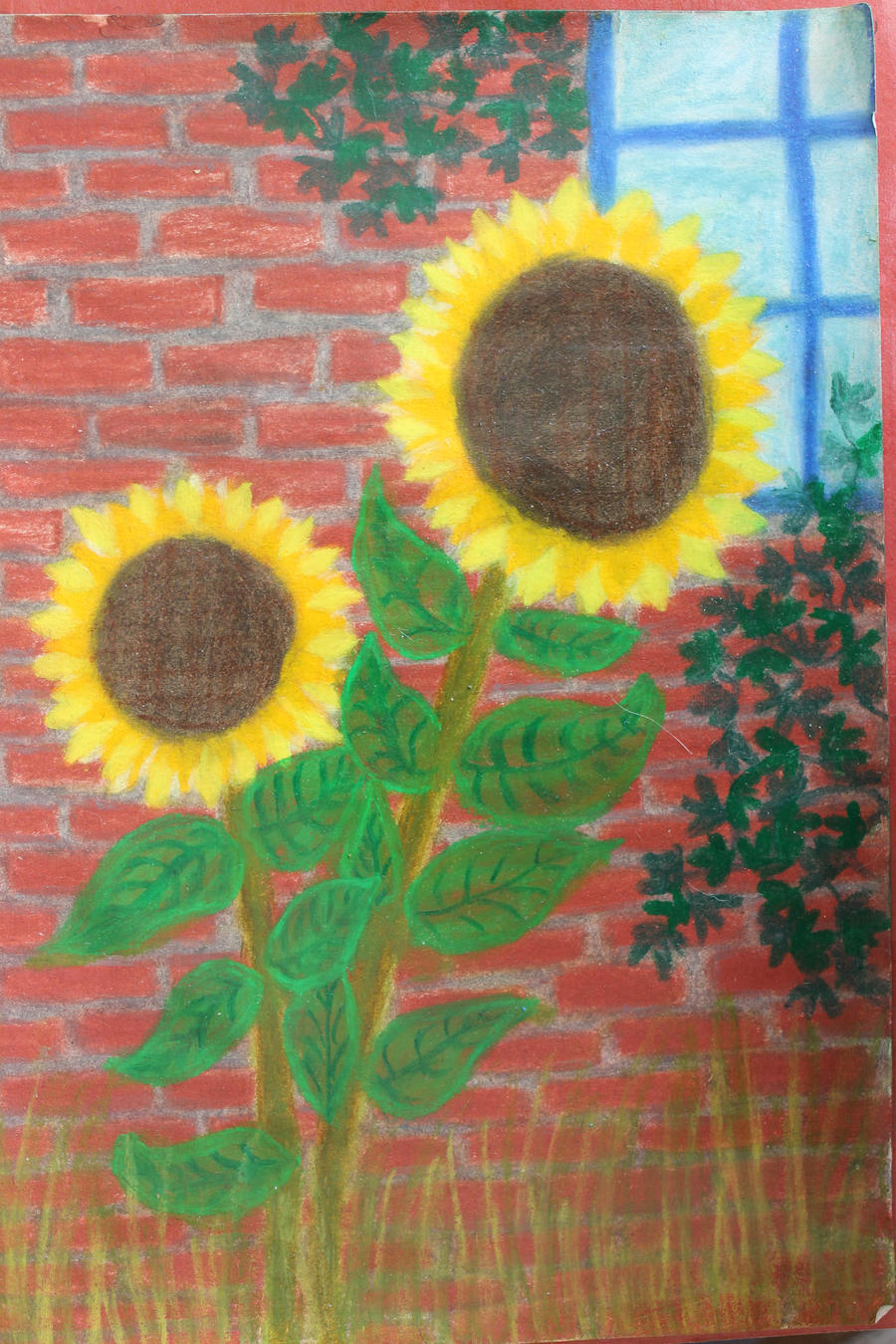 Sunflowers