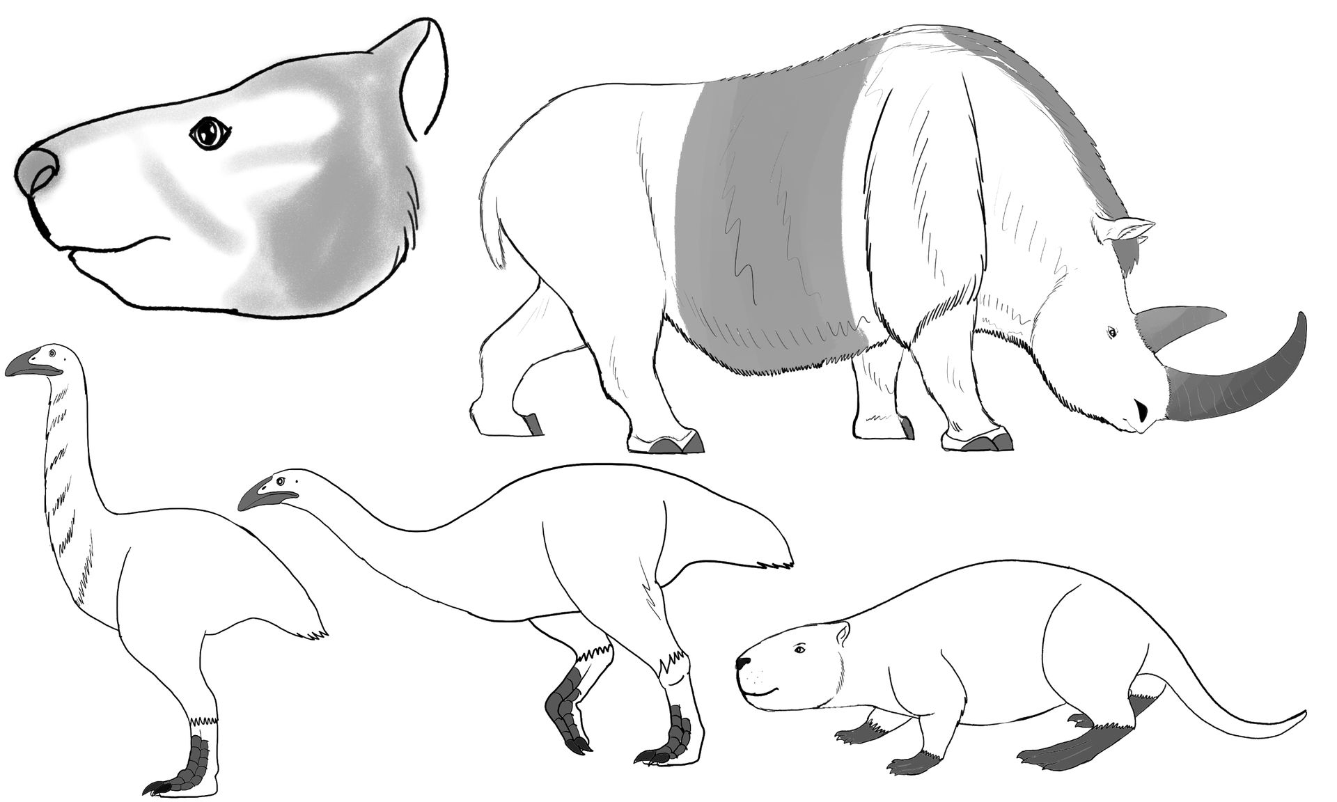 Microfauna Drawing Megafauna Studies by MoArtProductions on DeviantArt