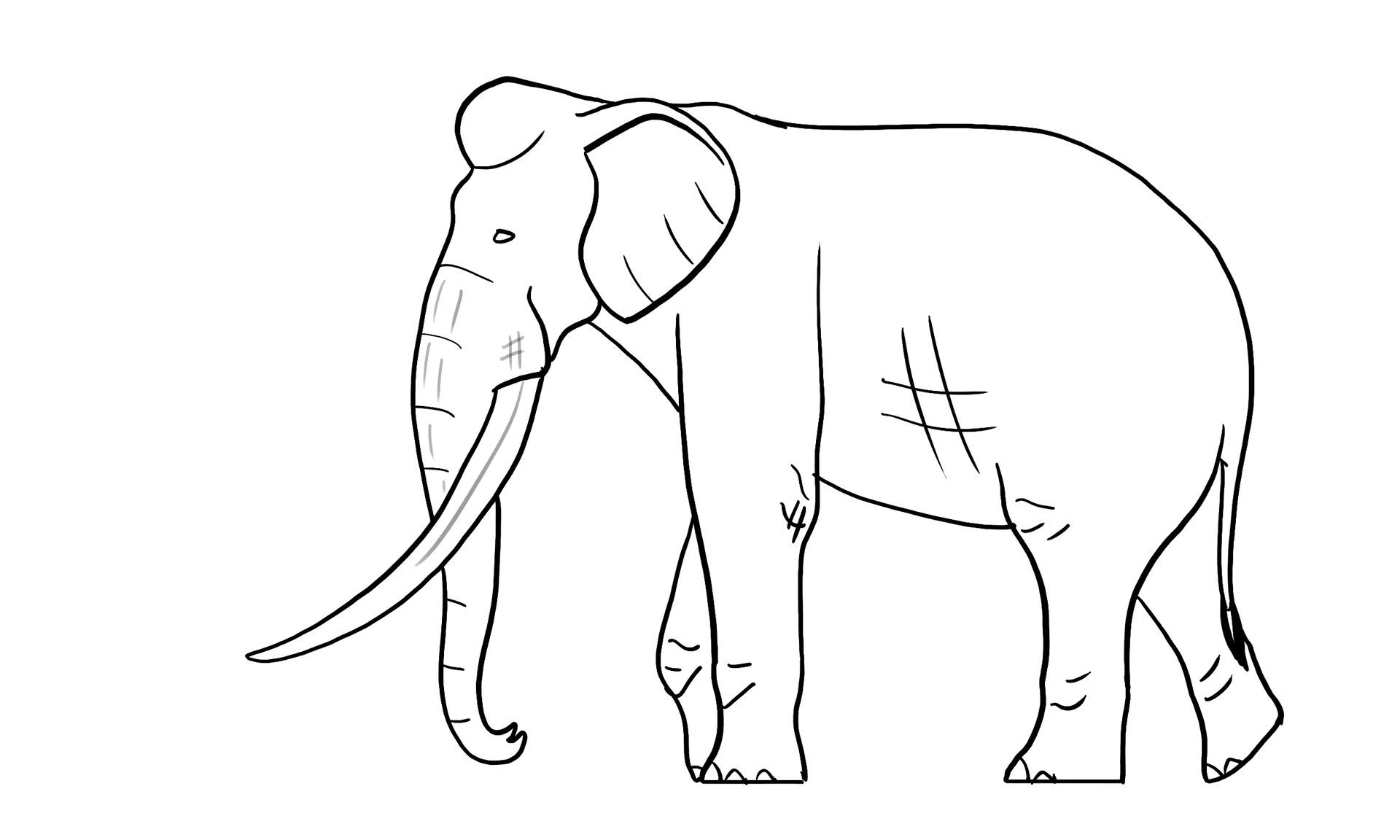 Straight Tusked Elephant Lineart by MoArtProductions on DeviantArt