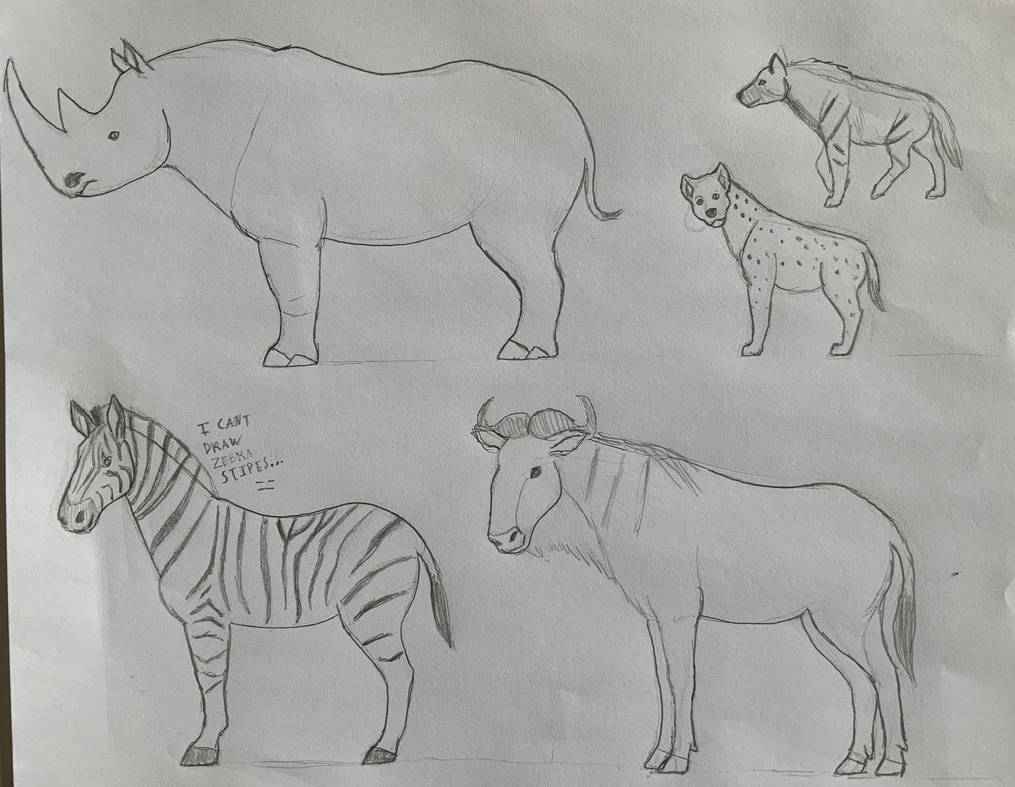 Animal Ruff Drawing African Animal Rough Practice by MoArtProductions on DeviantArt