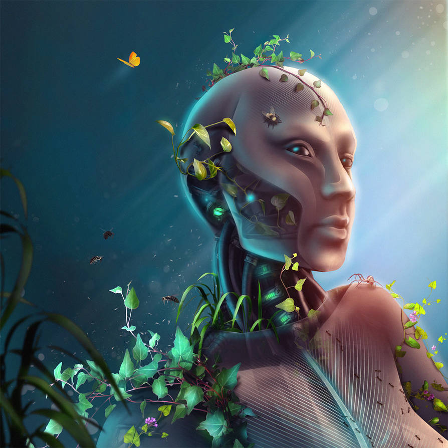 Evolution by Cestica