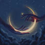 Nocturnal Butterfly