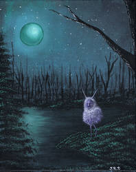 Moonlit Bog