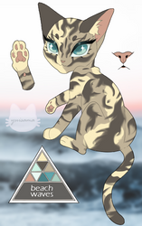 warrior cat adopt $5 | beach waves (OPEN)