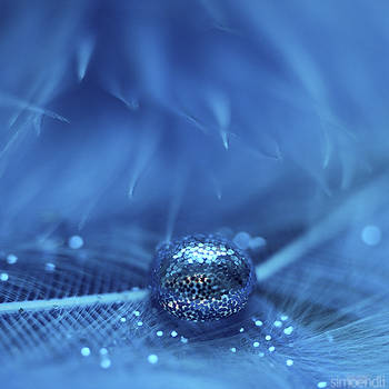 blue flitter. by simoendli