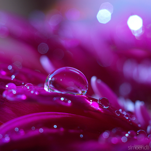 neon fairytale. by simoendli