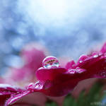 raindrops.1 by simoendli