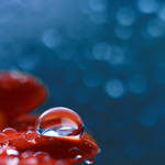 raindrops.2 by simoendli