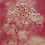 breath away. by simoendli