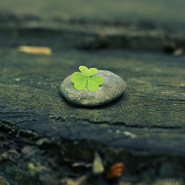 lucky stone. by simoendli
