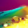 colorful glow.