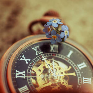 tick tock forget me not.