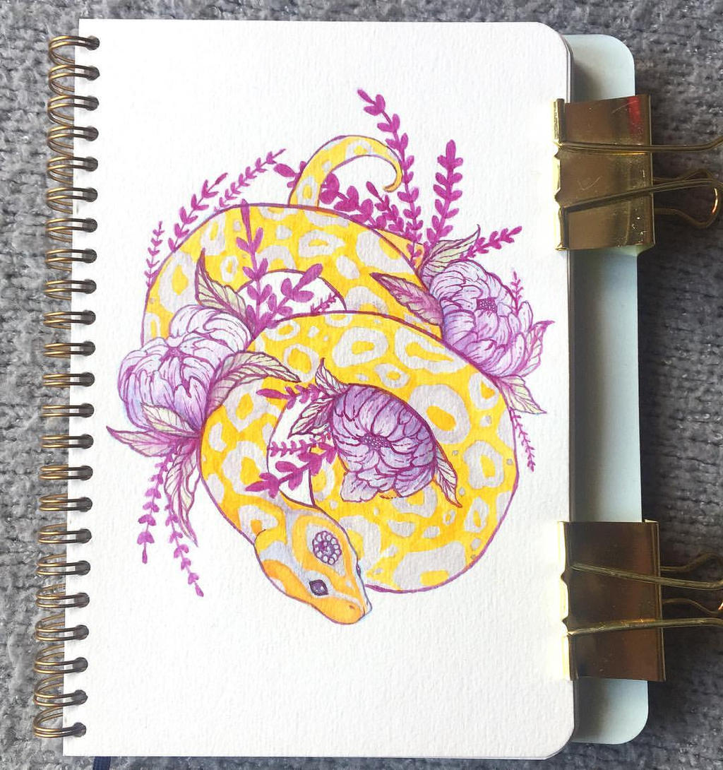 Mossery Sketchbook : Ball Python by Kasvei on DeviantArt
