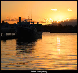 Harbor Sunset