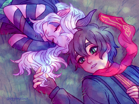 photo The Dragon Prince Rayla X Callum Fanart https www deviantart com tag rayllum