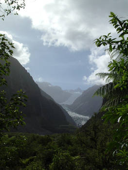 Fox Glacier