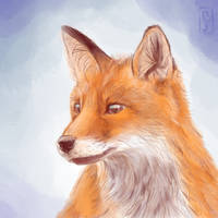 Fox art 