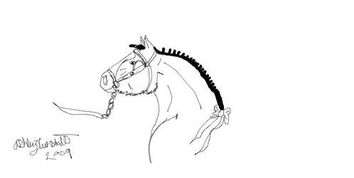 draft horse head