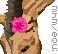 Donkey Head Pixel