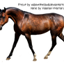 dapple bay arabian horse precut