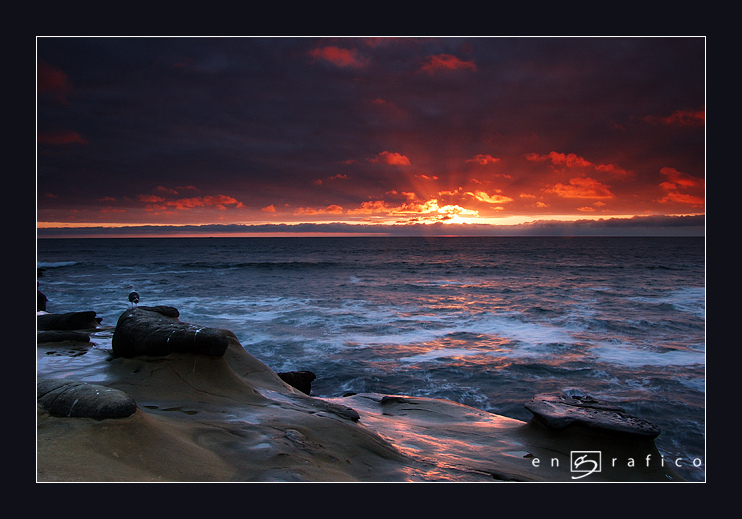 Seagull and Sunset I