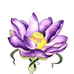 Lotus: Seventh Chakra