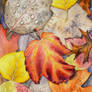 Lament of the Leaves