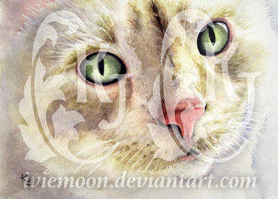 Yoda III by IvieMoon Yoda III by IvieMoon