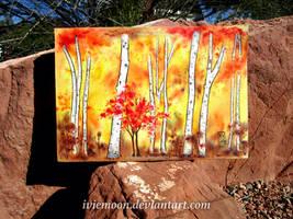 Autumn Forest