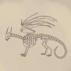Skeletal dragon