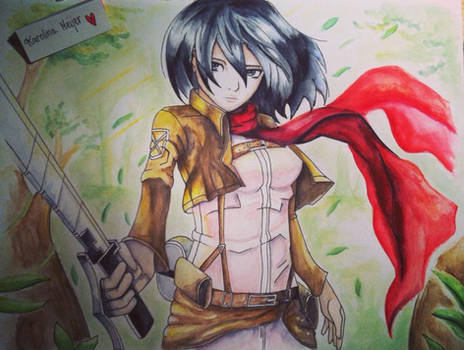 Mikasa