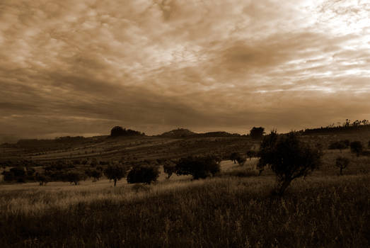 Angels Die in the Sepia Soil