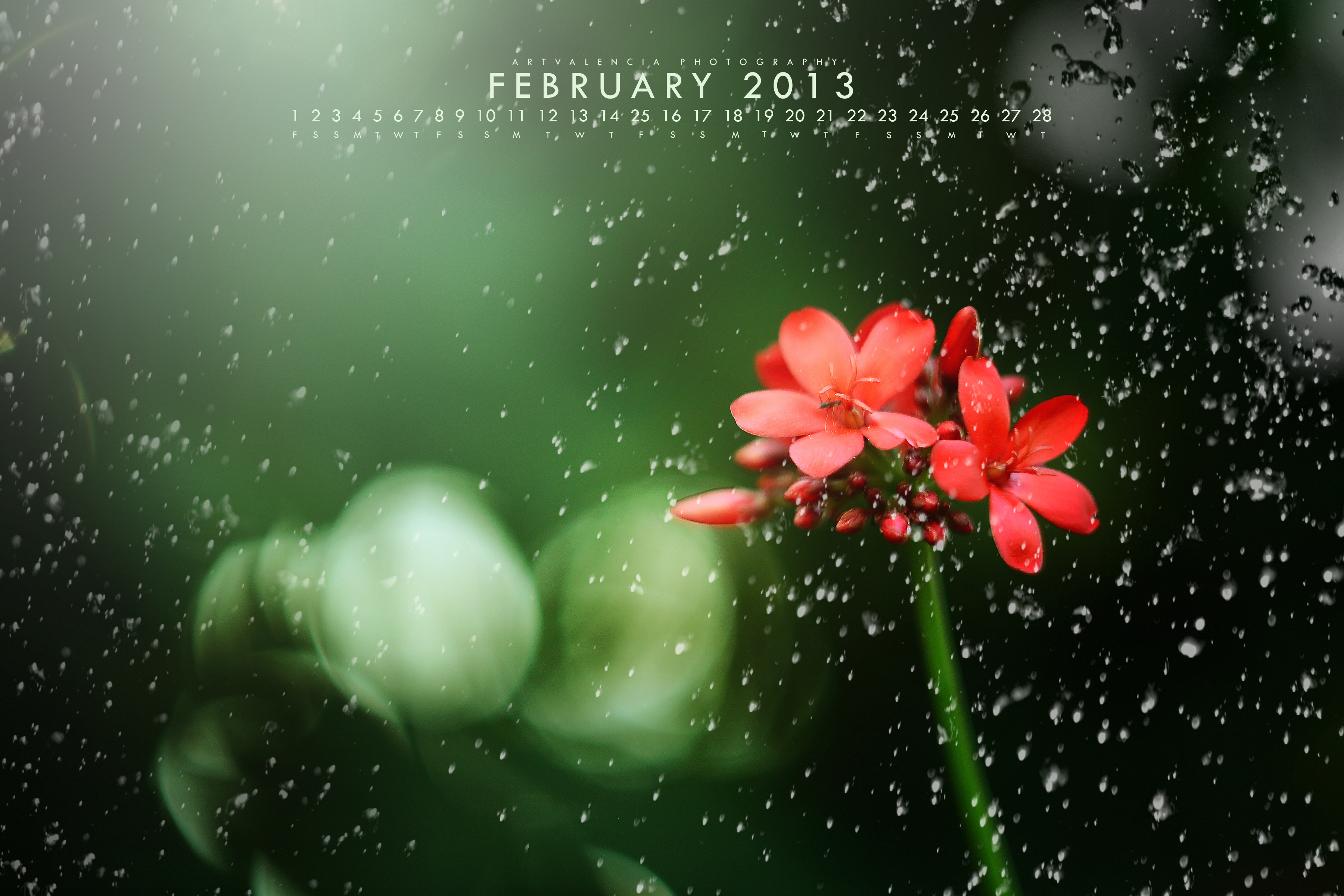 FEBRUARY 2013 CALENDAR WALLPAPER