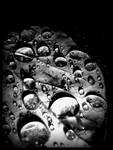 It's me.. Bubbles by stereotypemylife