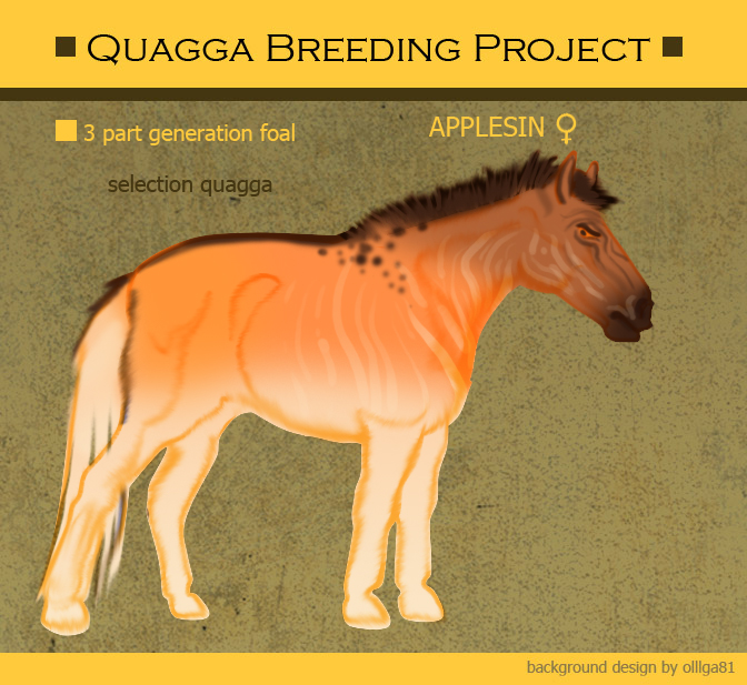 generation3 quagga selection Applesin