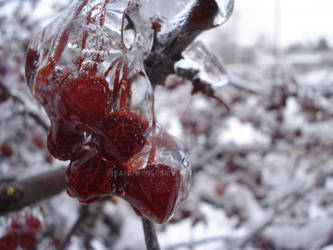 Frozen Molten Berries