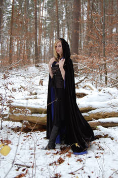 Winter_Walk