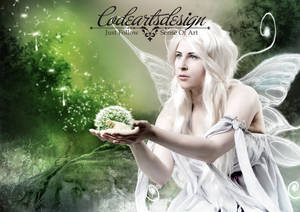 WHITE FAIRY'S