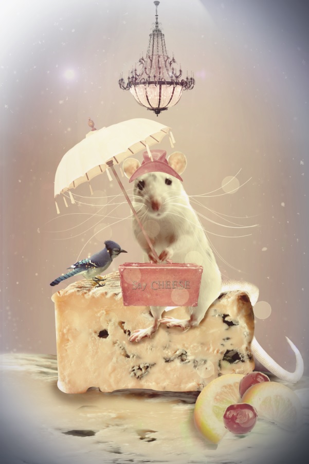 Mouse Cheese FB