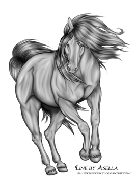Greyscale Horse