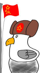 Soviet seagull