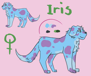 Iris Reference sheet