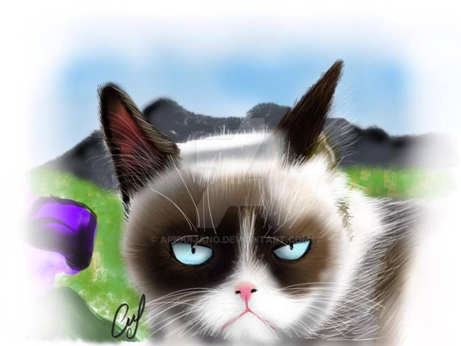 Grumpy Cat Rip Deviantart Grumpy Cat by AriQuijano on DeviantArt