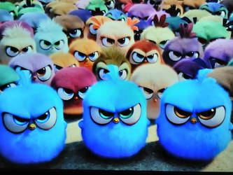 Angry Blue Birds leading the Angry chicks