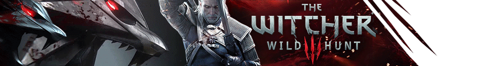 Witcher 3 wild hunt banner