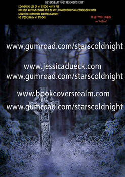 Snowing night premade BG